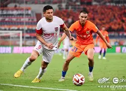 关于成都蓉城内部会议纪要流出：赛后绝杀压哨，足总杯使命明确，高层口径保持一致的信息